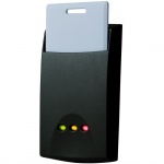 PXT595248